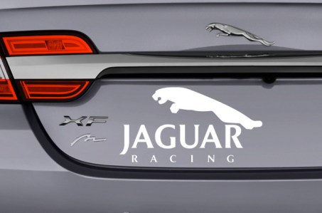 autocollants-sticker-jaguar-blanc